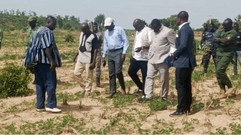 Savanes : Une mobilisation régionale pour un reboisement durable et ambitieux