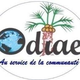 L&rsquo;ONG ODIAE recrute